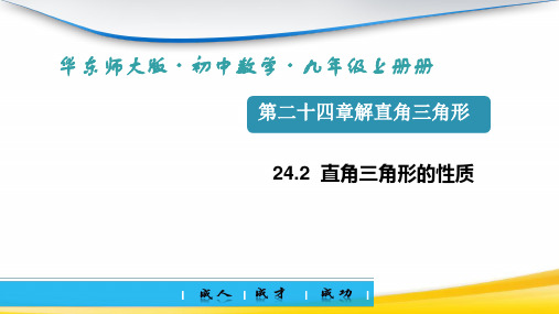 24.1 测量(课件)2024—2025学年华东师大版数学九年级上册