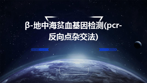 β-地中海贫血基因检测(PCR-反向点杂交法)