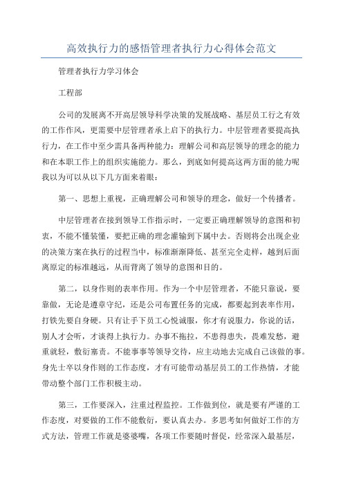 高效执行力的感悟管理者执行力心得体会范文