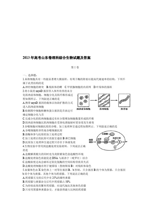 (完整)2013年山东高考理综生物试题及答案,推荐文档