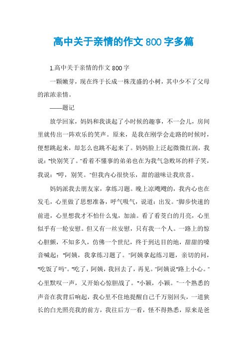 高中关于亲情的作文800字多篇