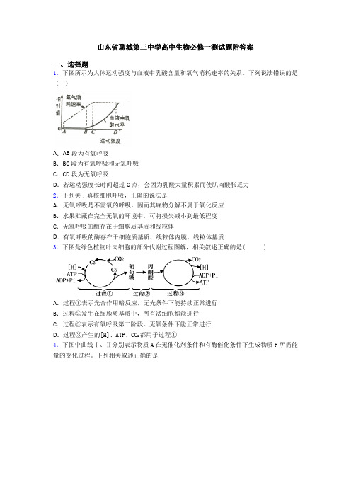 山东省聊城第三中学高中生物必修一测试题附答案