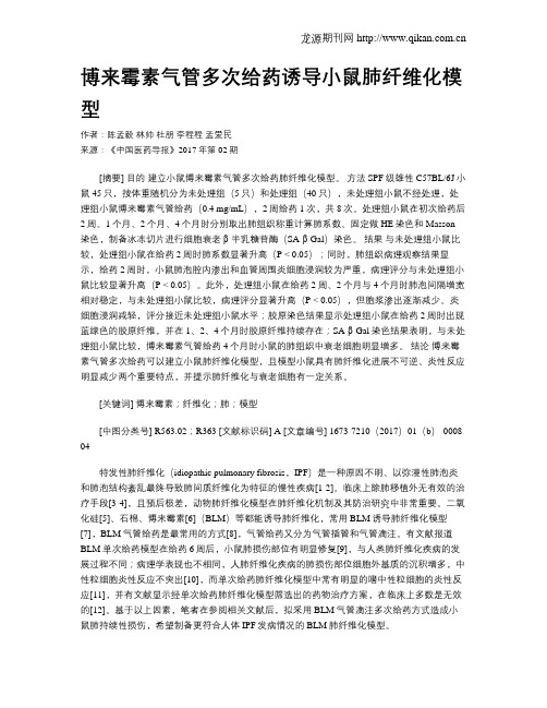 博来霉素气管多次给药诱导小鼠肺纤维化模型