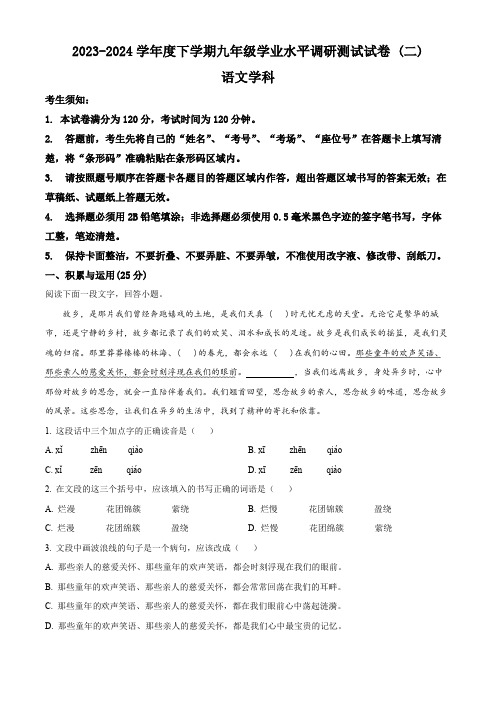 2024年黑龙江省哈尔滨市道外区中考二模语文试题(解析版)