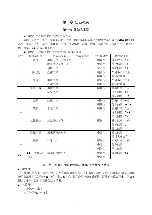 某化工企业安全评价报告