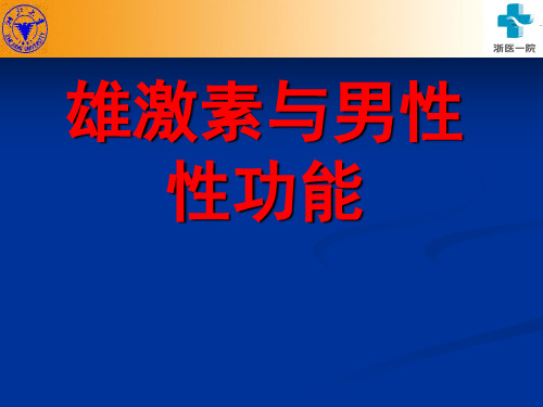 雄激素与男性性功能