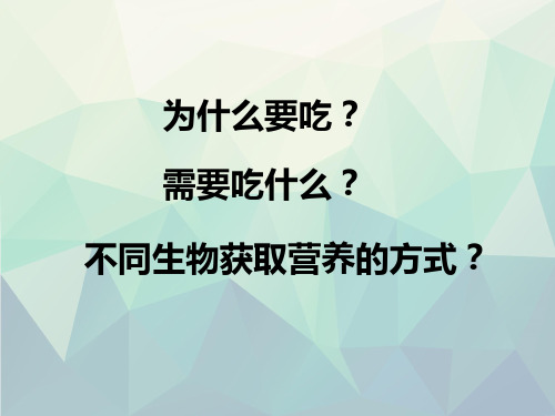 细胞的分子组成细胞生物学课件203