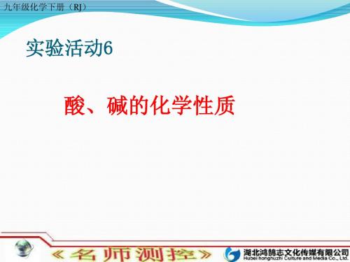 实验活动6 酸、碱的化学性质