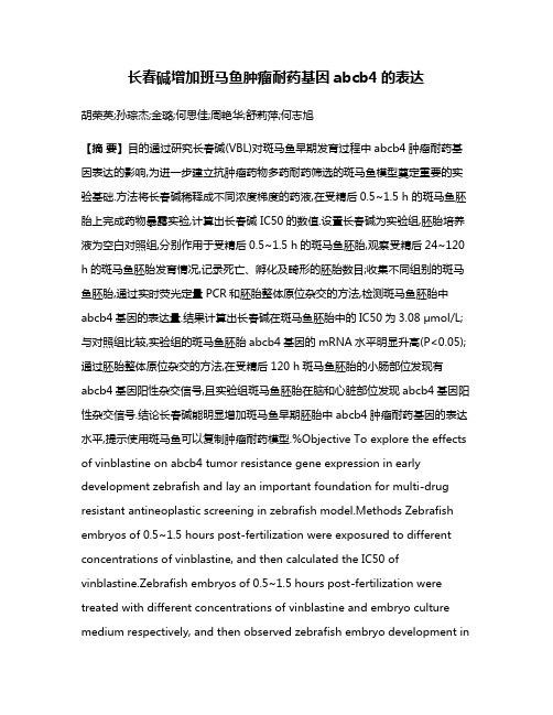 长春碱增加班马鱼肿瘤耐药基因abcb4的表达