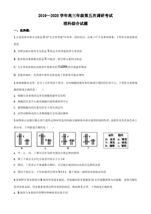 河北省衡水中学2019-2020学年高三下学期第五次调研理综生物试题