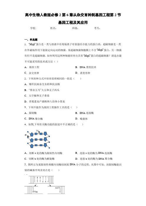高中生物人教版必修2第6章从杂交育种到基因工程第2节基因工程及其应用