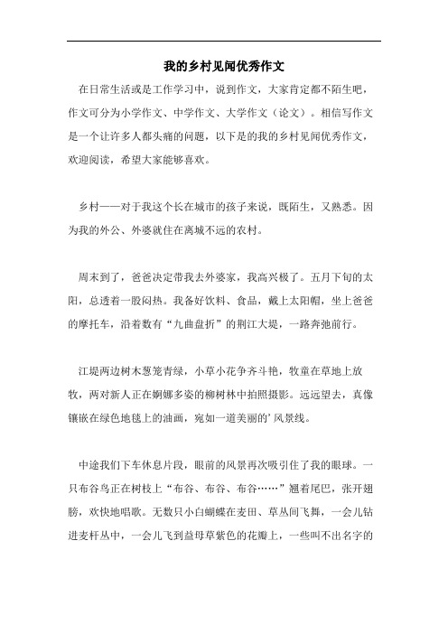 我的乡村见闻优秀作文