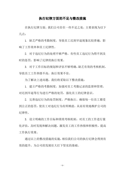 执行纪律方面的不足与整改措施