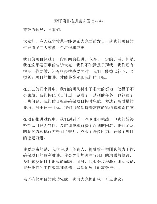 紧盯项目推进表态发言材料