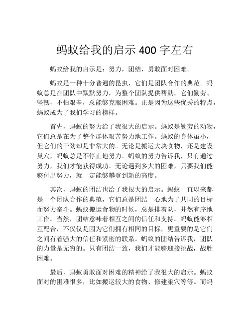 蚂蚁给我的启示400字左右