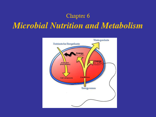 Chapter 6 Microbial Nutrition and Metabolism  微生物学 教学课件 英文版