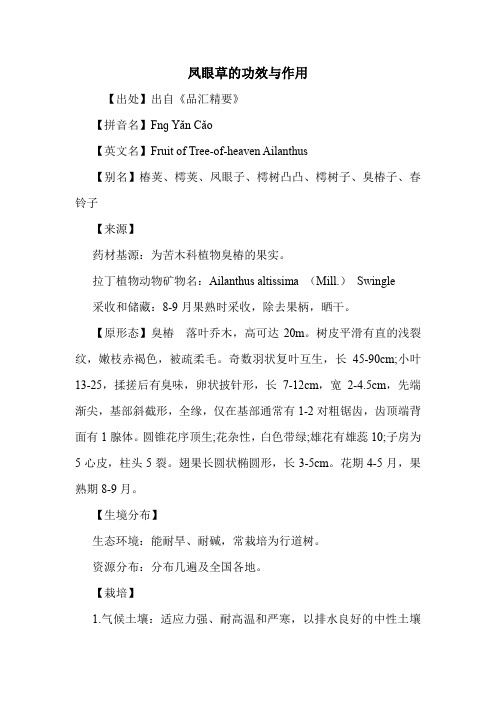 凤眼草的功效与作用
