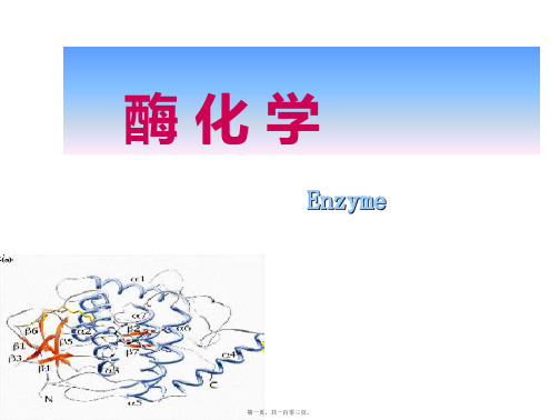 生物化学之酶化学 教学课件(共103张PPT)