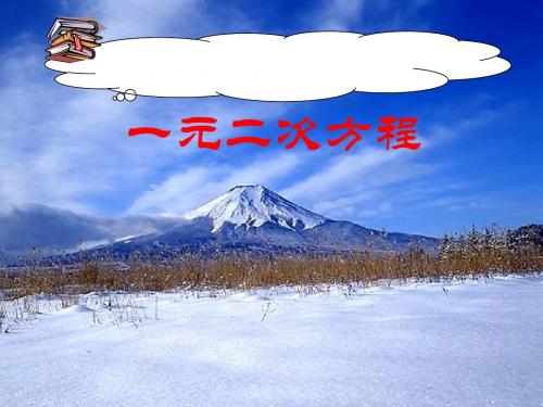 一元二次方程综合复习1