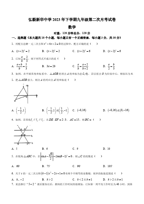 湖南省岳阳市弘毅新华中学2023-2024年九年级上学期期中数学试题(含答案)