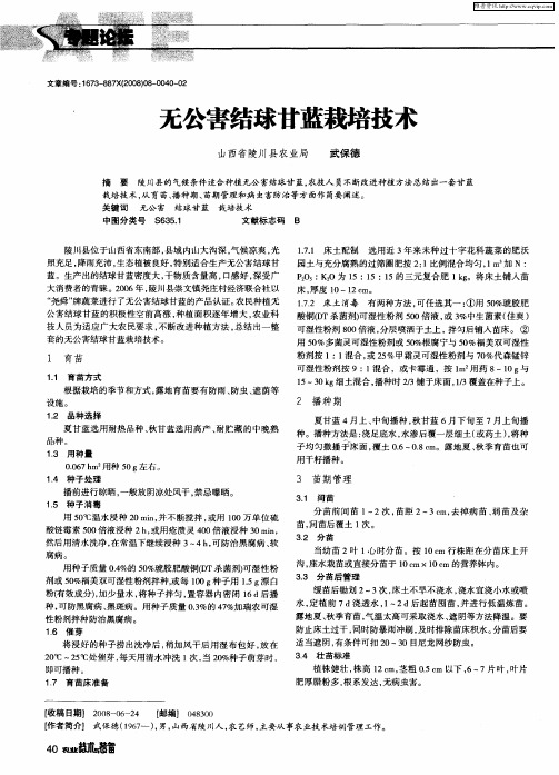 无公害结球甘蓝栽培技术