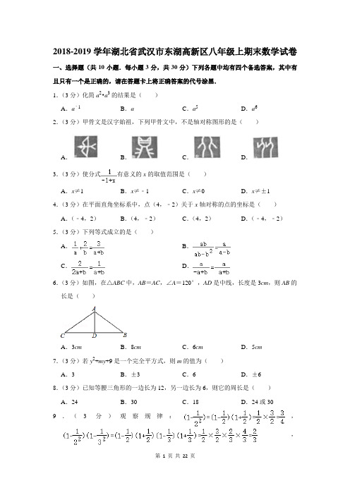 2018-2019学年湖北省武汉市东湖高新区八年级上期末数学试卷及答案解析