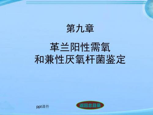 革兰阳性需氧和兼性厌氧杆菌鉴定  ppt课件