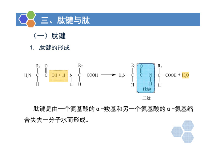 3生物化学