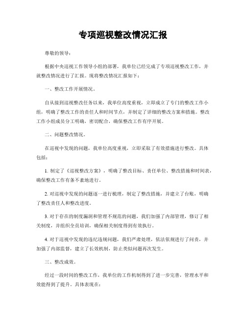 专项巡视整改情况汇报