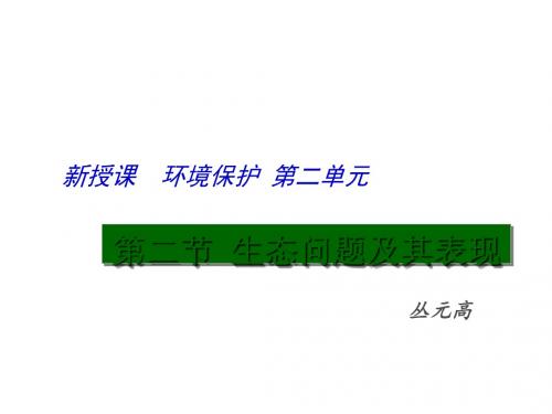 生态问题及其表现ppt(4份) 鲁教版