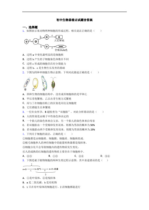 初中生物易错点试题含答案