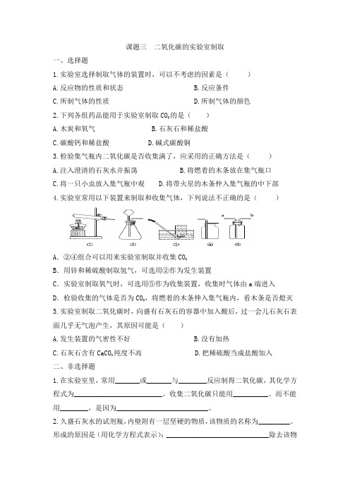 6.3二氧化碳的实验室制取-2024-2025学年九年级化学人教版(2024)上册