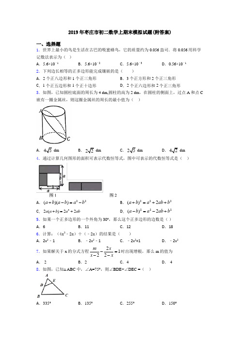 2019年枣庄市初二数学上期末模拟试题(附答案)