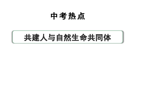 2024河北道法中考备考热点专题：共建人与自然生命共同体(课件)