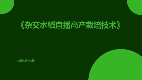 杂交水稻直播高产栽培技术