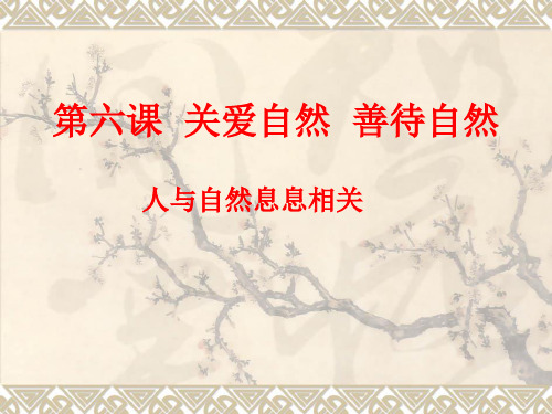 鲁人版《道德与法治》九年级上册 6.1 人与自然息息相关 课件(共17张PPT)