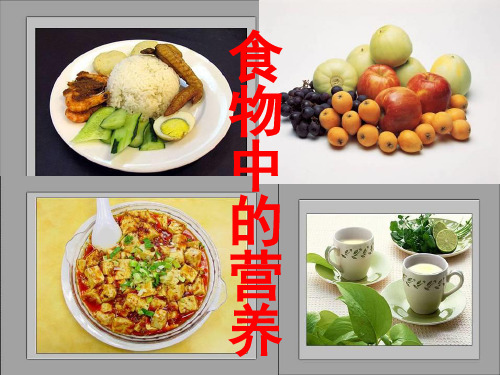 四年级科学上册2.2《食物中的营养》 教学PPT1