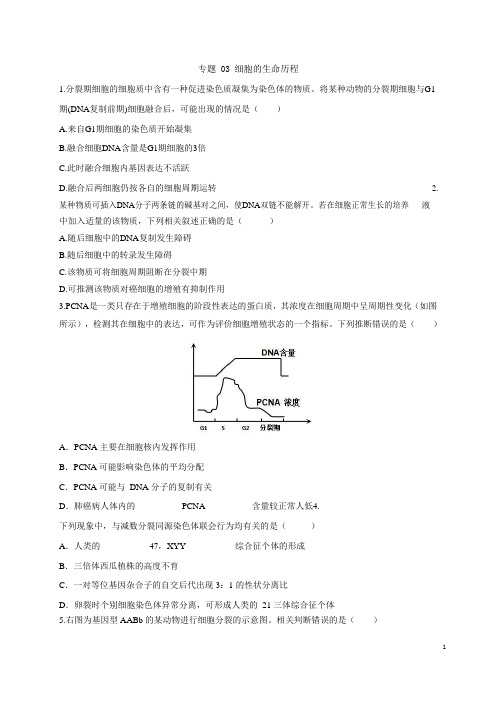 专题03 细胞的生命历程-备战2021年新高考专项训练(原卷版)