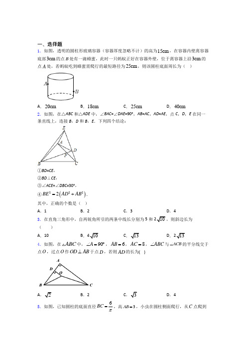 中考数学数学勾股定理的专项培优练习题(附解析