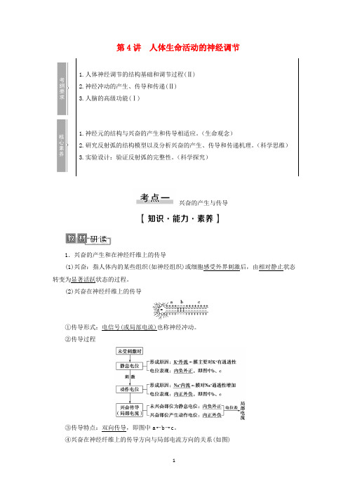 高考生物一轮复习 第8单元第4讲 人体生命活动的神经调节学案 苏教版必修3