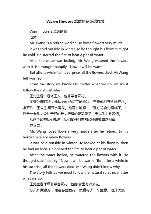 Warmflowers温暖的花英语作文