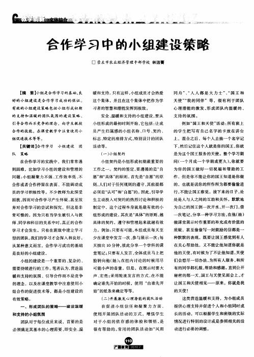 合作学习中的小组建设策略