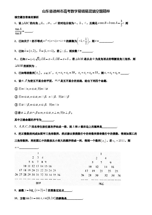 山东省德州市高考数学易错易混填空题精粹含解析