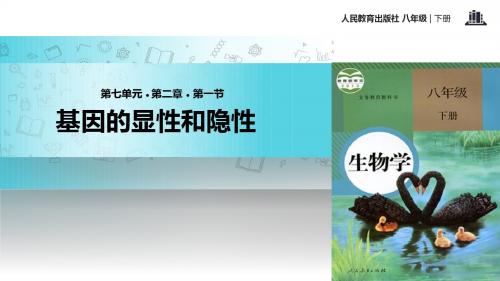 初中人教版生物八年级下册7.2.3【教学课件】《基因的显性和隐性》