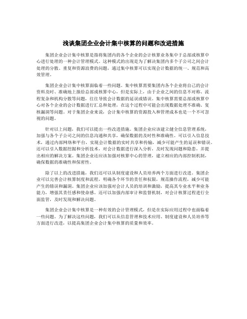 浅谈集团企业会计集中核算的问题和改进措施