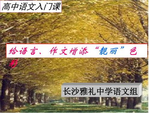 高中语文入门课：给语言、作文增添“靓丽”色彩 PPT课件 人教版