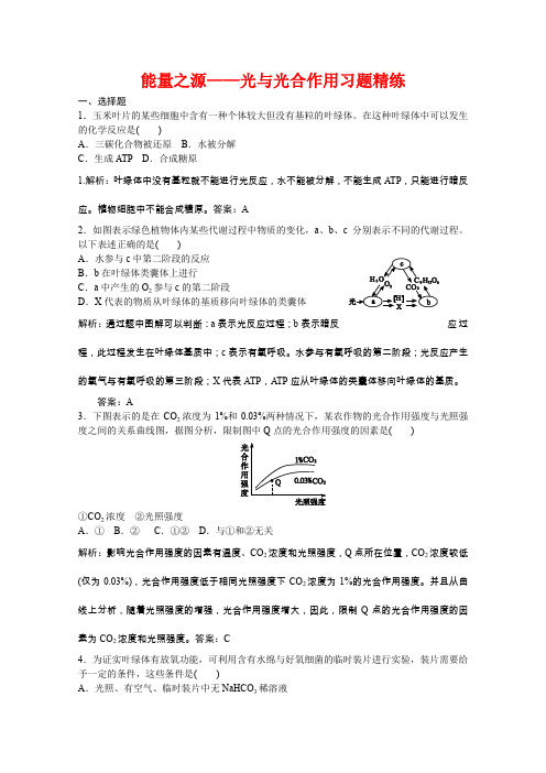 能量之源——光与光合作用习题精练完美解析版