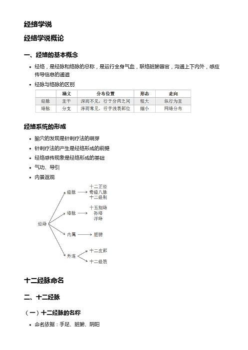 中医藏象学——经络学说