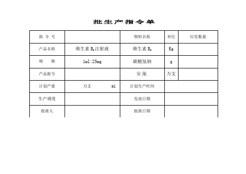 维生素B6注射液批生产记录20130122