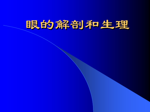 眼球的解剖和生理